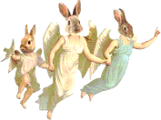 Bunnies Fly